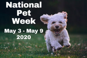 National Pet Week May 3 2020 to May 9 2020